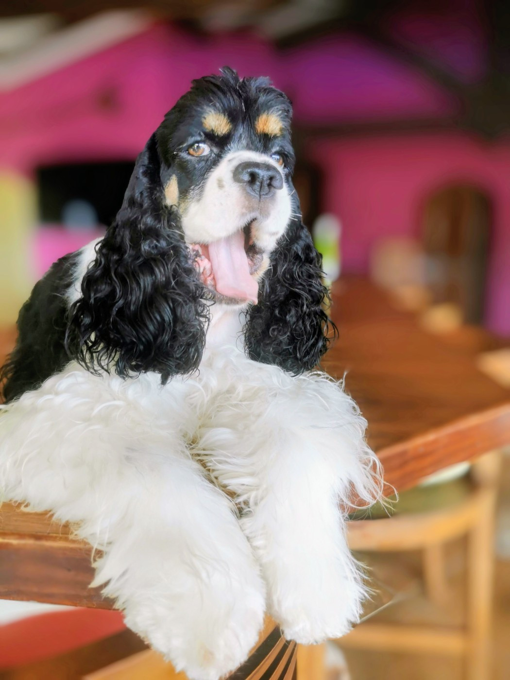 Sunset Lover Vigie Du clos des abysses de provence